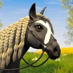 Star Equestrian - Horse Ranch thumbnail